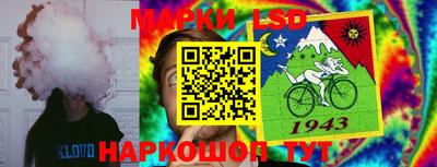 spice Будённовск